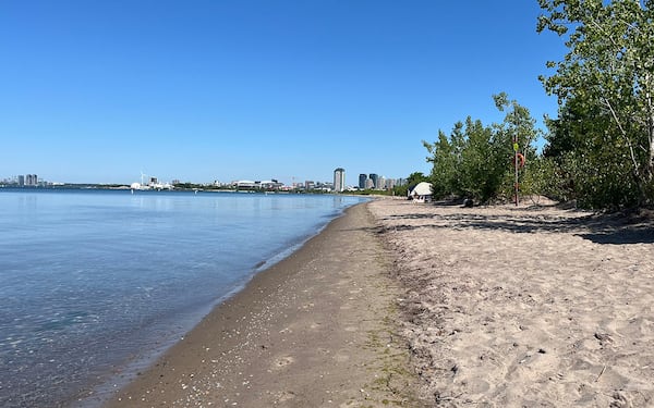 This Toronto beach is showing signs of erosion. An advocacy group says the city is not acting fast enough.