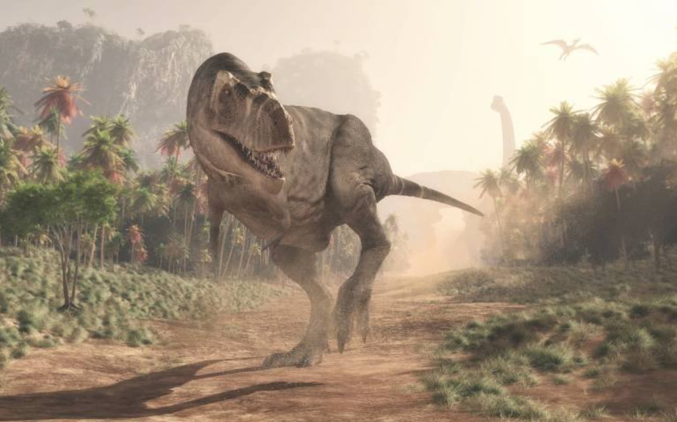 Why did T. rex have tiny arms? New study explores conundrum